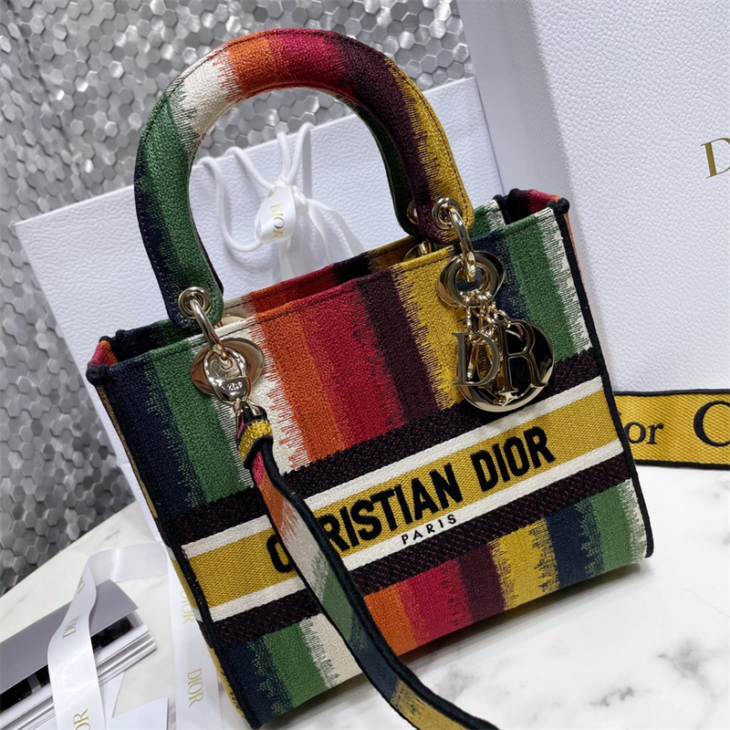 크리스챤 디올 미디움 레이디백   M0565 LI